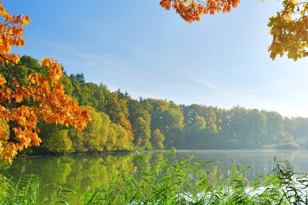Czech-Republic-Countryside
